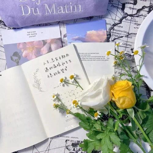 关于花季节最新爆料的文案,揭秘最新花季节秘闻大揭秘